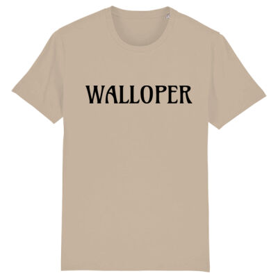 scottish words and meanings Thumbnail